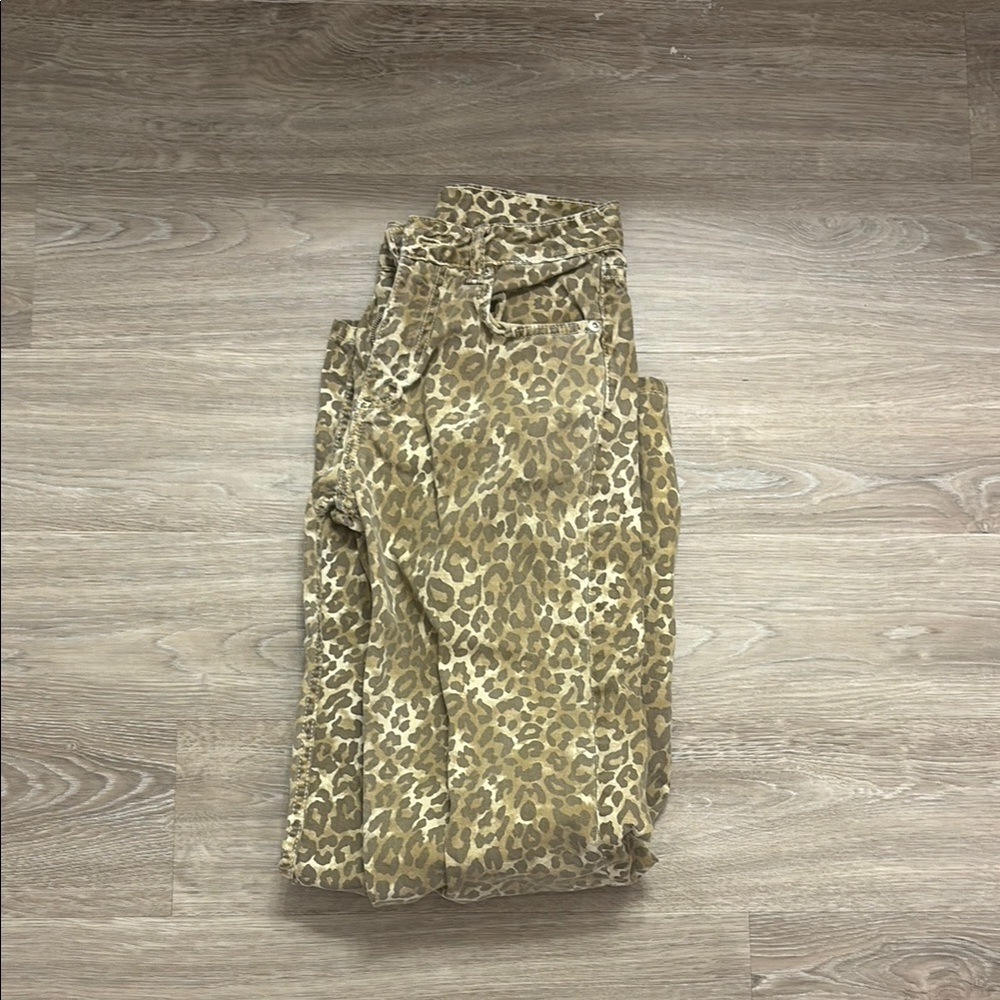 Zara Leopard Print Pants
